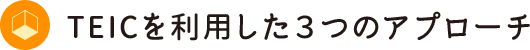 TEICを利用した3つのアプローチ