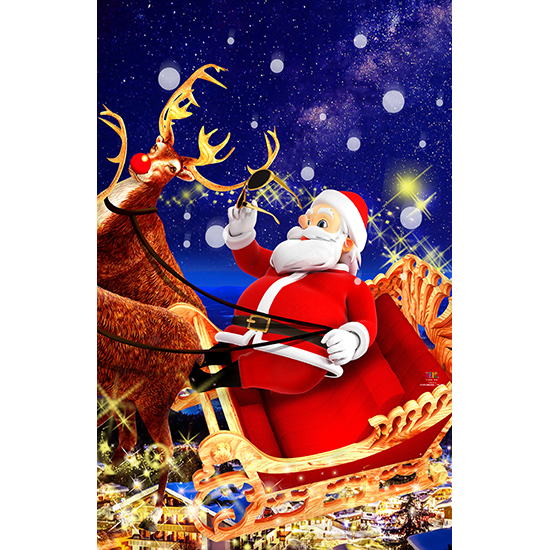 TE-CM2001 トナカイのソリ