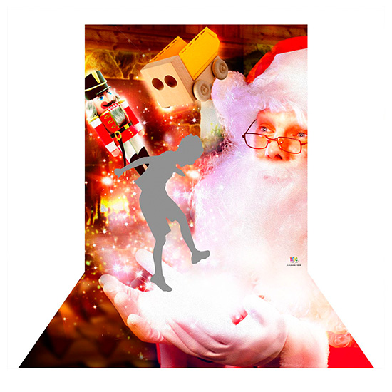 TE-CM2002 クリスマスの魔法（2面タイプ）