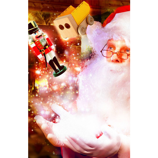 TE-CM2002 クリスマスの魔法（2面タイプ）