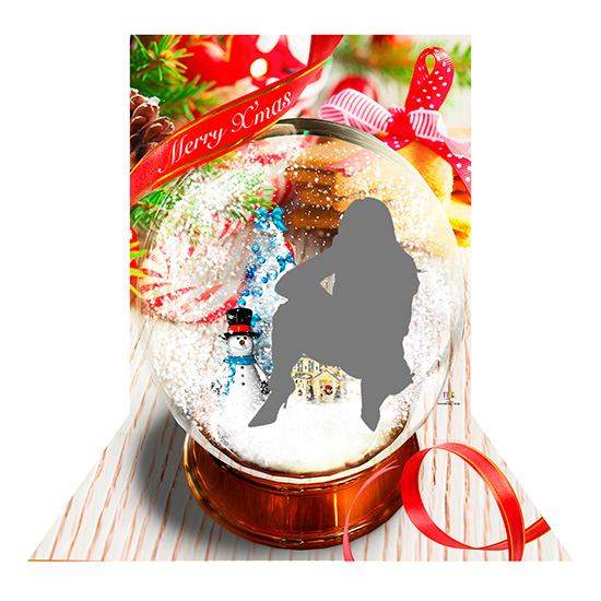 TE-CM2004 スノードーム