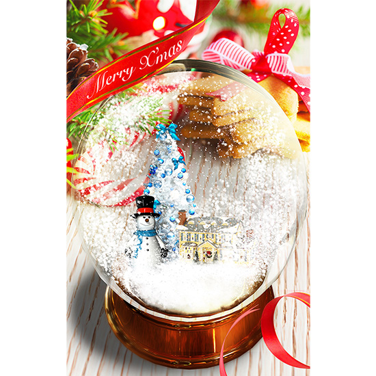 TE-CM2004 スノードーム