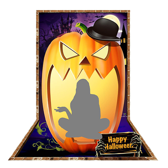 TE-HW2002 パンプキンB