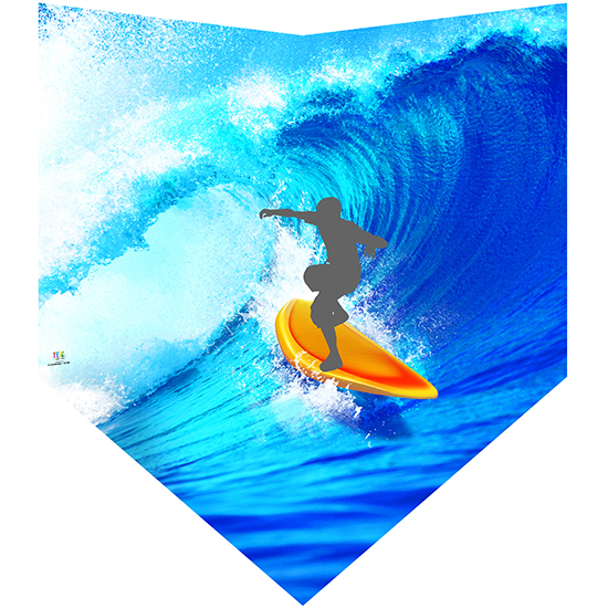 TE-SM3001 サーフィン