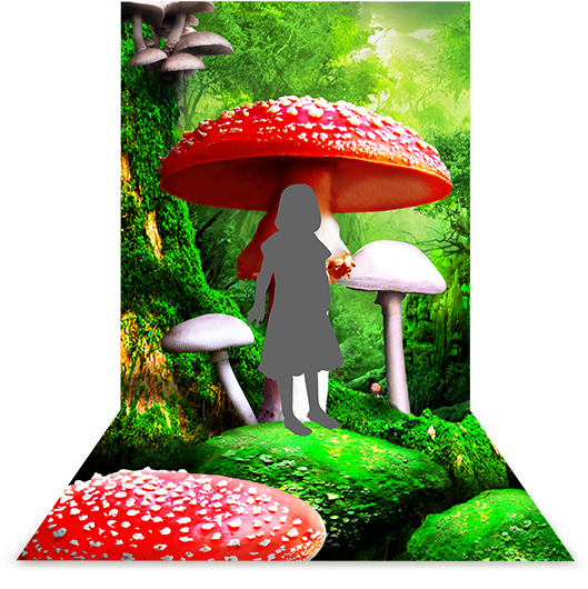 2面タイプ　198,000円（税抜）